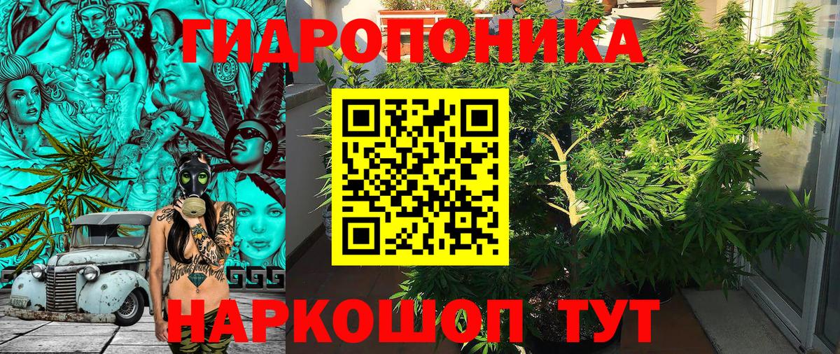 Каннабис SATIVA & INDICA Кольчугино