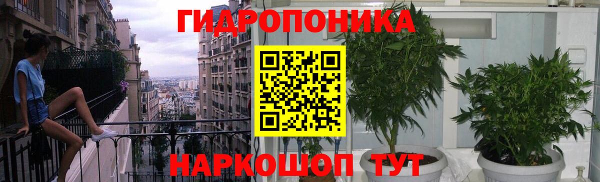 Шишки марихуана Ganja  МАРИХУАНА AK-47  Вход с VPN  Кольчугино  Каннабис сатива  Канабис AK-47 